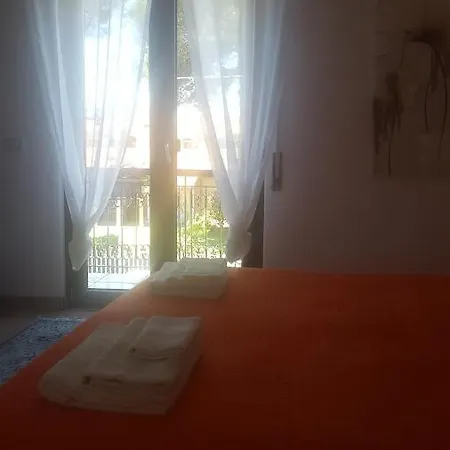Sole D'oro Iun S4354 La Maddalena (Cagliari)