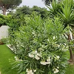Bed & Breakfast Sole D'oro Iun S4354 La Maddalena (Cagliari)