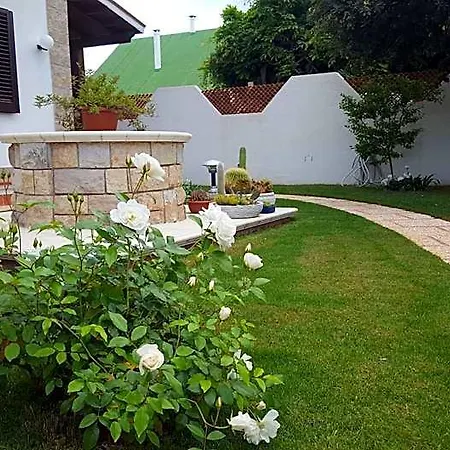 Sole D'oro Iun S4354 Bed & Breakfast *